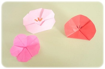 折り紙で平面の「梅の花」の簡単な折り方・作り方！幼稚園児でもＯＫ